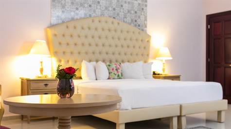 BEAUTIFUL HOTEL FOR SALE IN MERIDA
