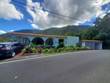Homes for Sale in Bo. Rio Abajo, Cidra, Puerto Rico $129,500