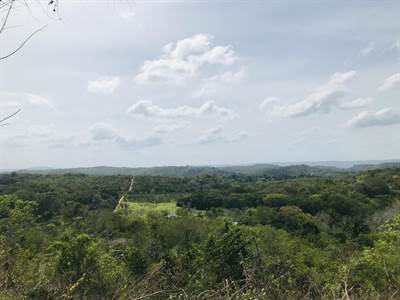 6.7 Acres Jungle Elevated Property