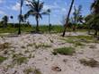 Lots and Land for Sale in Mahahual, Quintana Roo $155,000