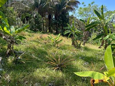 Great Location Land Parcel  in Playa Hermosa