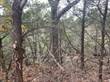 Lots and Land Sold in Mystic Shores, Spring Branch, Texas $99,900