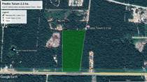Lots and Land for Sale in Tulum Centro, Tulum, Quintana Roo $2,750,000
