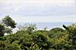 Lots and Land for Sale in Ojochal, Puntarenas $159,000