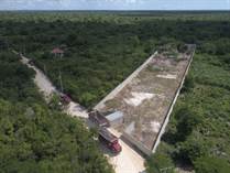 Lots and Land for Sale in Boca De Chavon , La Altagracia $95,000