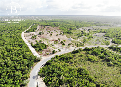 PUNTA CANA REAL ESTATE - LOTS FOR SALE 