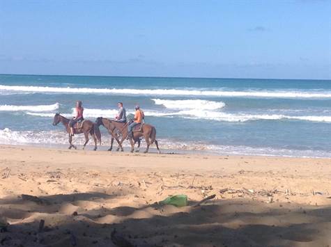 Horse back riding Uvero Alto beaches