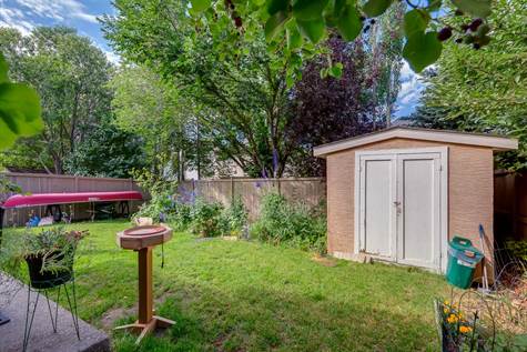 Expansive backyard with plenty of space for your kids to run around.
