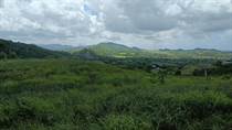 Homes for Sale in Rio Canas, Puerto Rico $40