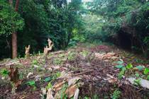 Lots and Land for Sale in Ojochal, Puntarenas $25,000