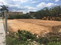 Lots and Land for Sale in Playa del Carmen, Quintana Roo $52,322