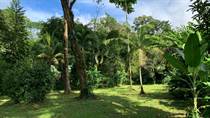 Lots and Land for Sale in Uvita, Puntarenas $110,000