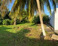 Lots and Land for Sale in Adolfo Lopez Mateos, Cozumel , Quintana Roo $375,000