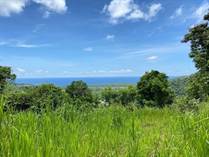 Lots and Land for Sale in jacaboa, Patillas, Puerto Rico $250,000