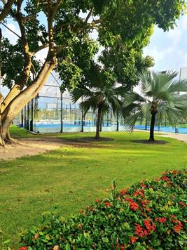 Cocotal paddle ball courts