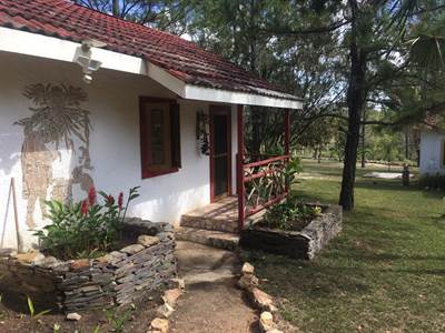 (#2025) - A fully operational eco resort located in the Mountain Pine Ridge Reserve in Belize.