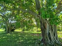 Lots and Land for Sale in Cocotal, Bavaro, La Altagracia $280,000