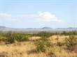 Lots and Land for Sale in Arizona, Portal, Arizona $45,000
