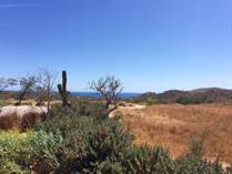 Homes for Sale in Oasis Palmilla, Palmilla, Baja California Sur $325,000