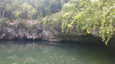 cenote and lot for sale