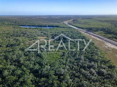 83 Acre Investment Property on John Smith Road