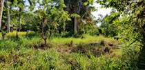 Lots and Land for Sale in Encuentro Beach, Cabarete, Puerto Plata $112,510