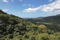 Lots and Land for Sale in Nosara, Guanacaste $2,500,000