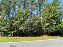 Lots and Land for Sale in Brunswick, Georgia $32,500