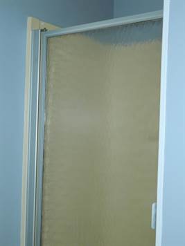 Primary Shower Glass