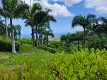 Lots and Land for Sale in Las Terrenas, Samaná $110,000