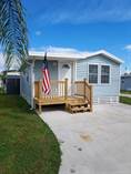 Homes for Sale in Hawaiian Isles, Ruskin, Florida $39,900