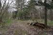 Lots and Land for Sale in Livonia, Michigan $125,000