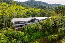 Homes for Sale in Tinamastes, La Alfombra, Puntarenas $1,100,000