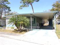 Homes for Sale in Shady Lane Oaks, Clearwater, Florida $46,000