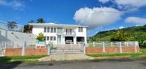 Homes for Sale in Bo. Mulas, Aguas Buenas, Puerto Rico $259,500