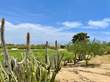 Homes for Sale in Las Colinas, Baja California Sur $600,000
