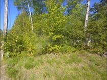 Lots and Land for Sale in Chaffey, Huntsville, Ontario $94,900