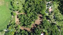Lots and Land for Sale in Bo. Río Grande, Rincon, Puerto Rico $225,000