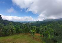 Lots and Land for Sale in San Ramon, Alajuela $250,000