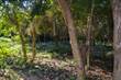 Lots and Land for Sale in Puerto Morelos, Quintana Roo $22,500