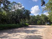Lots and Land for Sale in Chemuyil , Quintana Roo $39,136