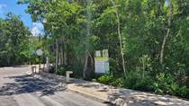 Homes for Sale in Rivera Tulum , Tulum, Quintana Roo $51,900