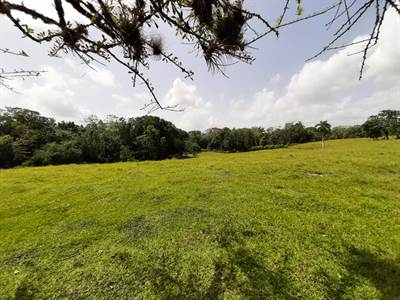 Farm Opportunity Land For Sale 