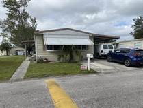 Homes for Sale in Carefree Village, Tampa, Florida $85,000