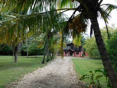 (2340) 4  bedrom house on 13 acres near Belmopan, Cayo, Belize.