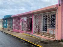 Commercial Real Estate for Sale in Centro del Pueblo, Yabucoa, Puerto Rico $95,000