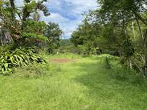 Lots and Land for Sale in Bijagual, Puntarenas $780,000