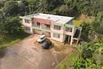 Multifamily Dwellings for Sale in Bo Quebrada Cruz, Toa Alta, Puerto Rico $450,000