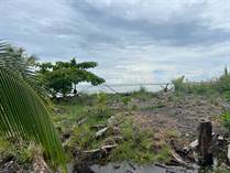 Lots and Land for Sale in Ojochal, Puntarenas $200,000