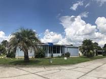 Homes for Sale in The Meadows at Country Wood, Plant City, Florida $29,500